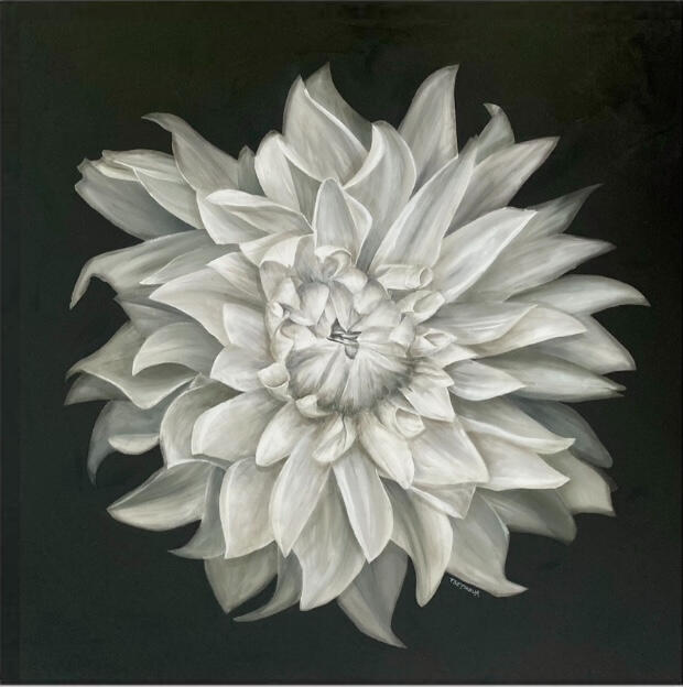 101.6 x 101.6 x 3.7cm